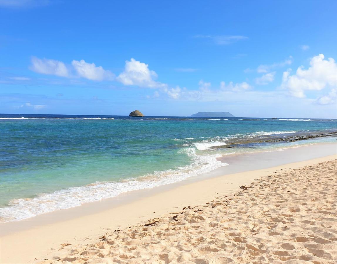 Villa Guadeloupe Saint Francois Acces Mer Piscine Iguana Bay - Villa Zagadi Екстериор снимка
