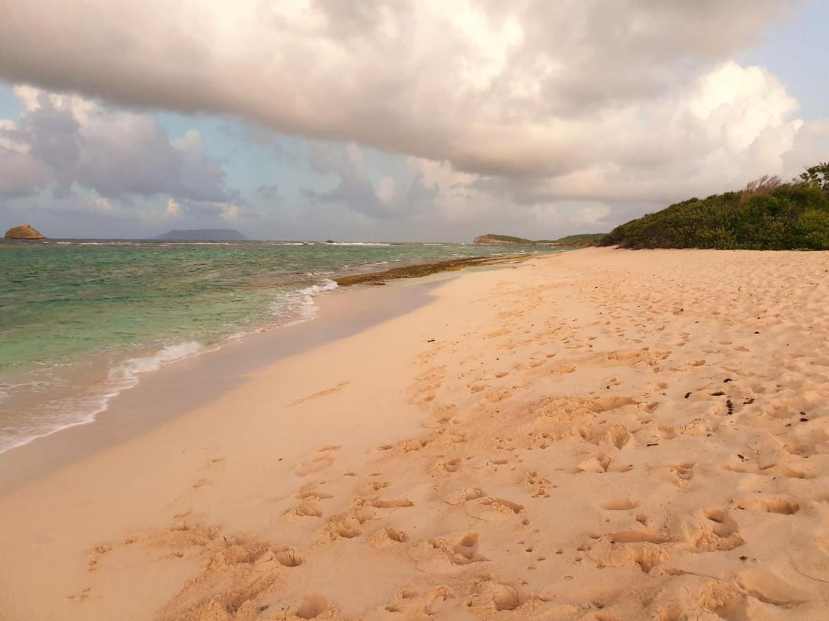 Villa Guadeloupe Saint Francois Acces Mer Piscine Iguana Bay - Villa Zagadi Екстериор снимка