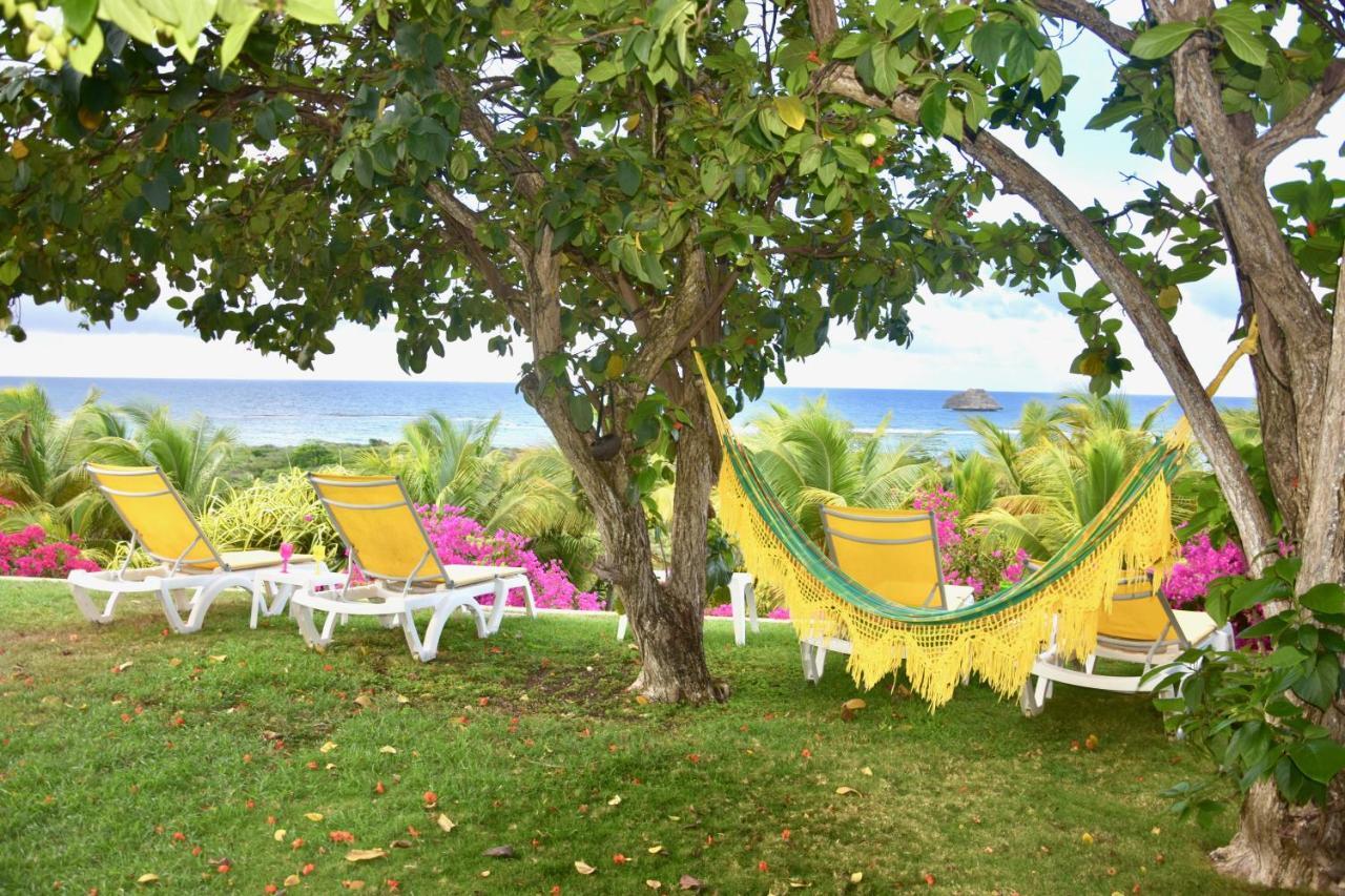 Villa Guadeloupe Saint Francois Acces Mer Piscine Iguana Bay - Villa Zagadi Екстериор снимка