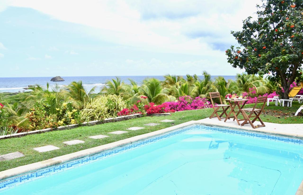 Villa Guadeloupe Saint Francois Acces Mer Piscine Iguana Bay - Villa Zagadi Екстериор снимка
