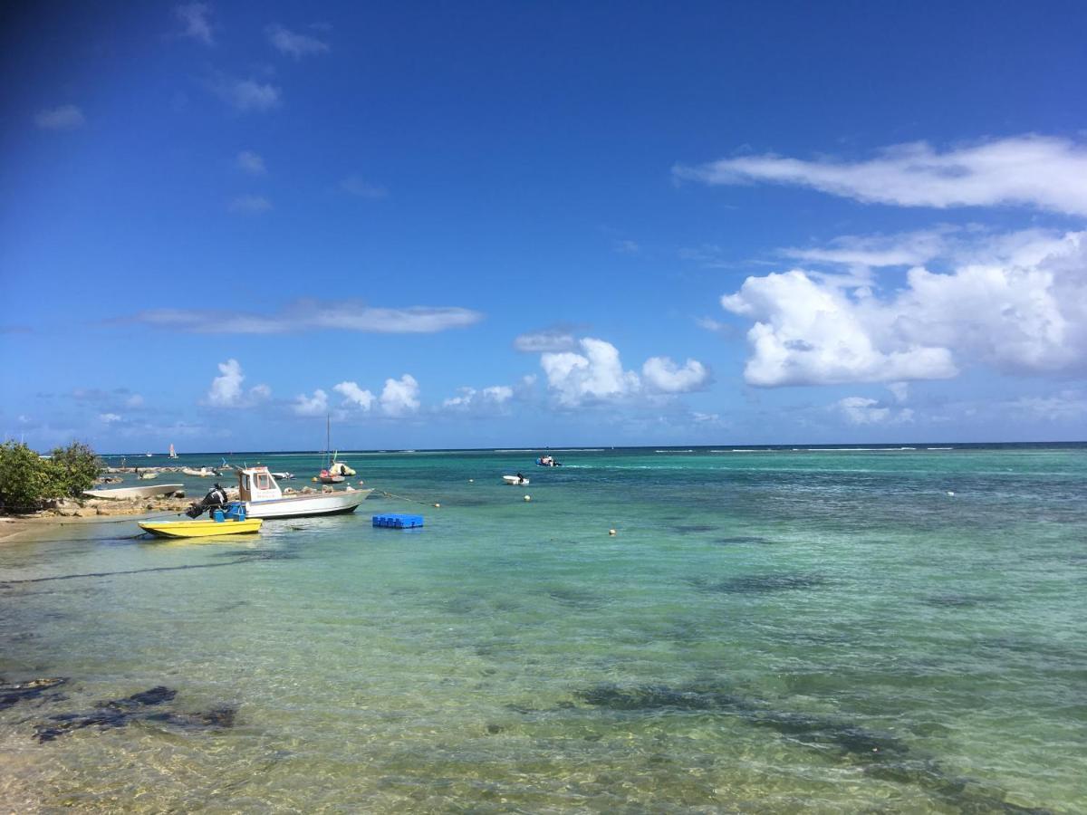 Villa Guadeloupe Saint Francois Acces Mer Piscine Iguana Bay - Villa Zagadi Екстериор снимка