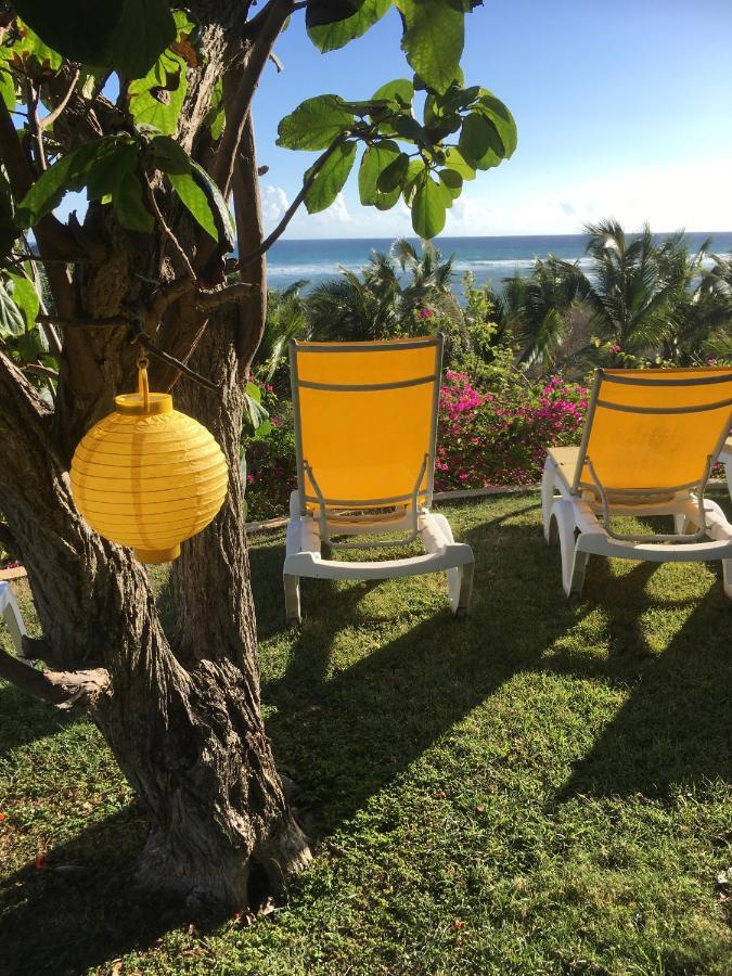 Villa Guadeloupe Saint Francois Acces Mer Piscine Iguana Bay - Villa Zagadi Екстериор снимка